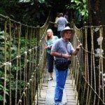 Hike in the Rainforest Panama