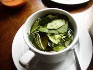 Coco Tea Ecuador