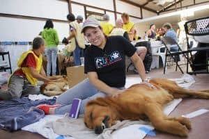 Spay and Neuter Clinic Boquete Panama