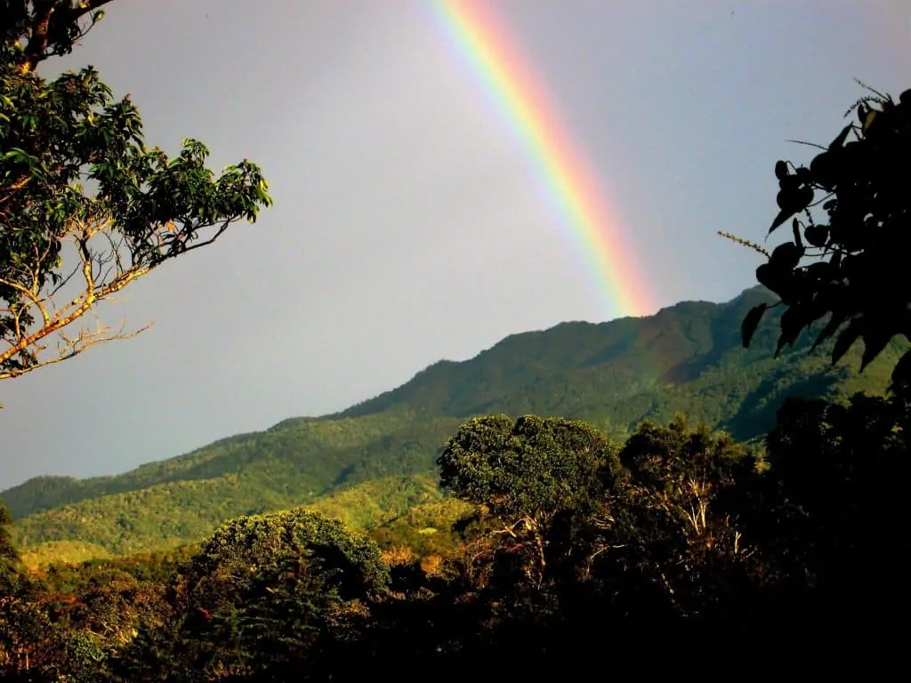 richard detrich view in panama