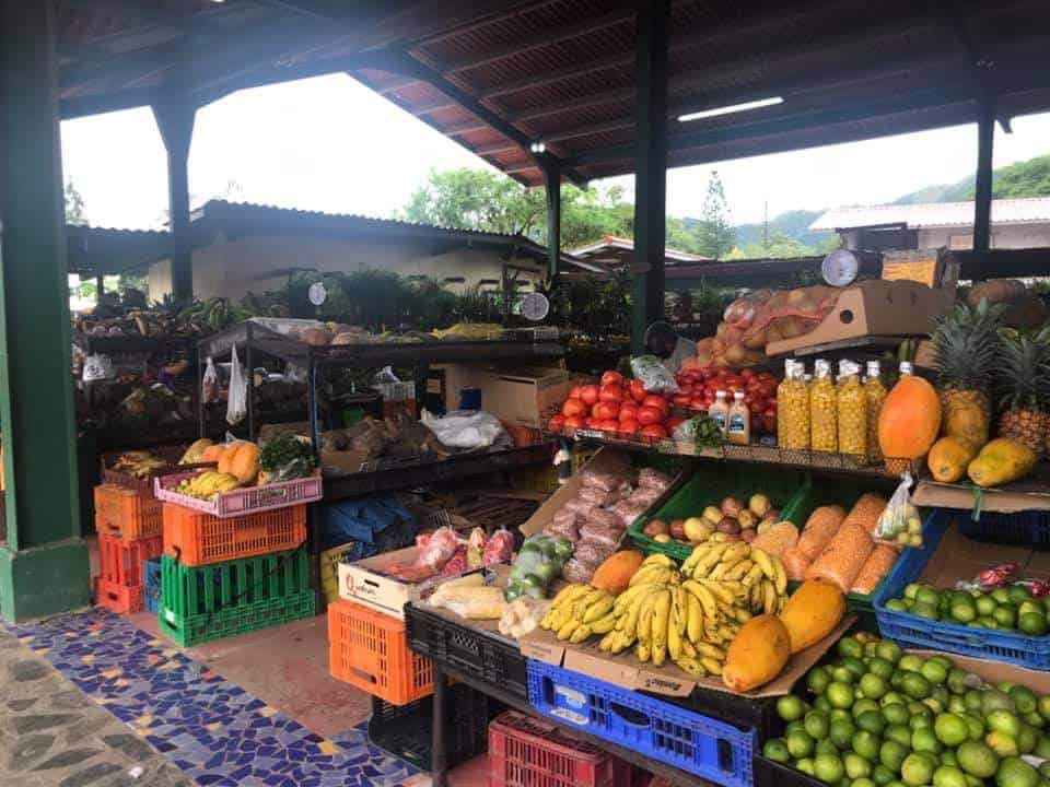 farmers market el valle