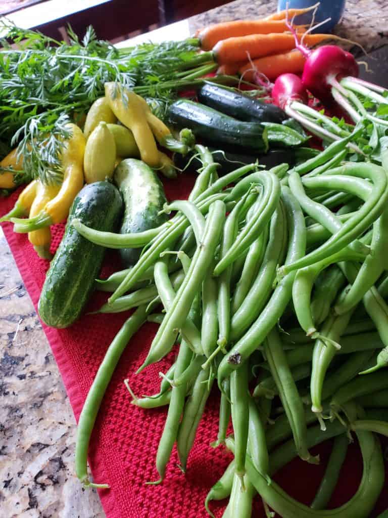 veggies grown in panama
