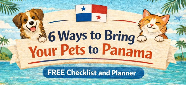 tips for bringing pets to panama